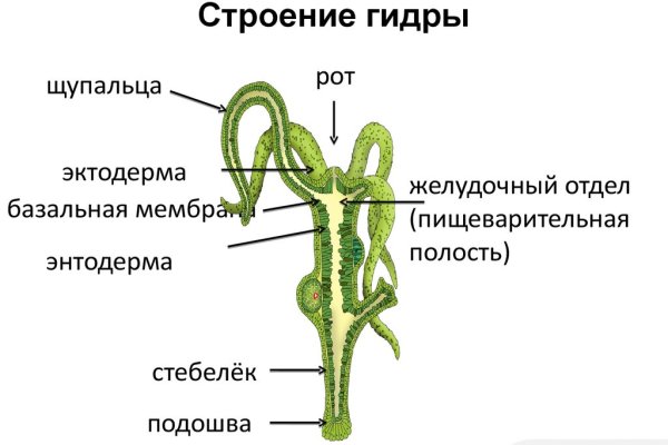 Кракен рабочее на сегодня сайт