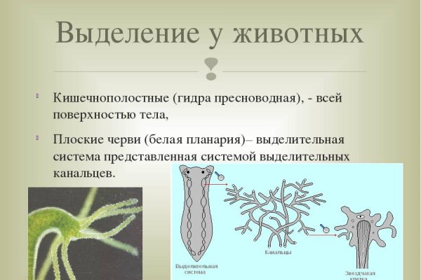 Кракен зайти