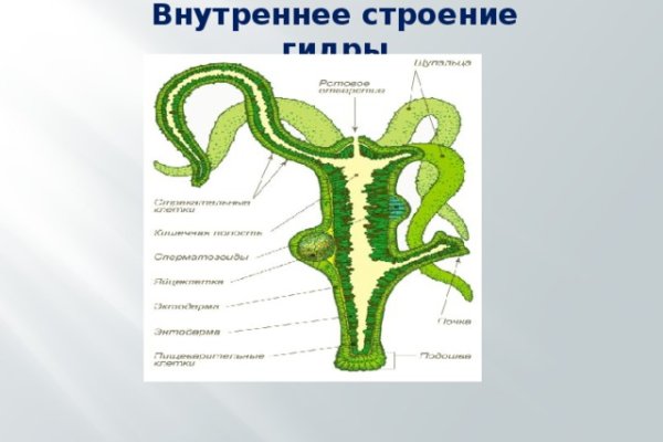Кракен сайт зеркало рабочее на сегодня