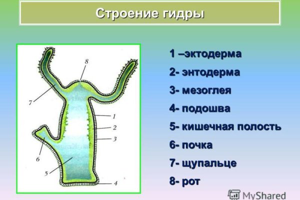 Кракен маркетплейс товары